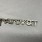 Used OEM Toyota Tacoma Emblem - Chrome - Toyota Tacoma - 1995.5-2004